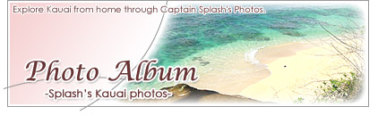 Photo Album
